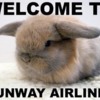 funny-bunway-mascott